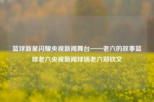 篮球新星闪耀央视新闻舞台——老六的故事篮球老六央视新闻球场老六郑钦文