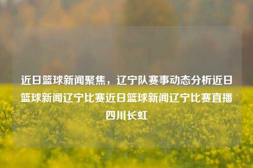 近日篮球新闻聚焦，辽宁队赛事动态分析近日篮球新闻辽宁比赛近日篮球新闻辽宁比赛直播四川长虹