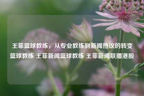 王菲篮球教练，从专业教练到新闻热议的转变篮球教练 王菲新闻篮球教练 王菲新闻联播港股