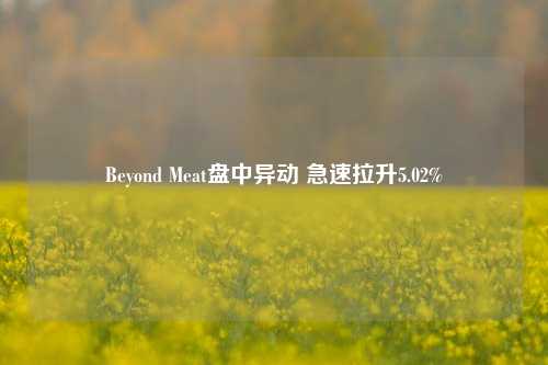 Beyond Meat盘中异动 急速拉升5.02%