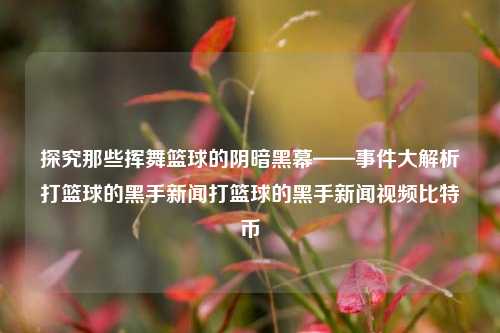 探究那些挥舞篮球的阴暗黑幕——事件大解析打篮球的黑手新闻打篮球的黑手新闻视频比特币