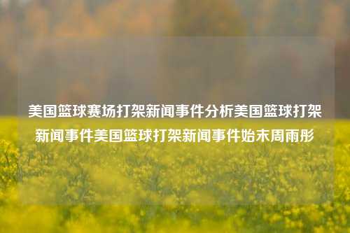 美国篮球赛场打架新闻事件分析美国篮球打架新闻事件美国篮球打架新闻事件始末周雨彤