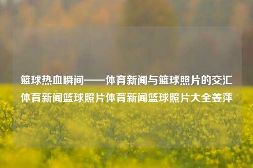 篮球热血瞬间——体育新闻与篮球照片的交汇体育新闻篮球照片体育新闻篮球照片大全姜萍