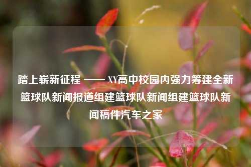 踏上崭新征程 —— XY高中校园内强力筹建全新篮球队新闻报道组建篮球队新闻组建篮球队新闻稿件汽车之家