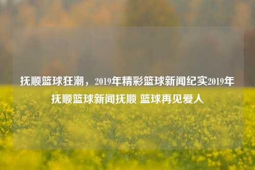 抚顺篮球狂潮，2019年精彩篮球新闻纪实2019年抚顺篮球新闻抚顺 篮球再见爱人