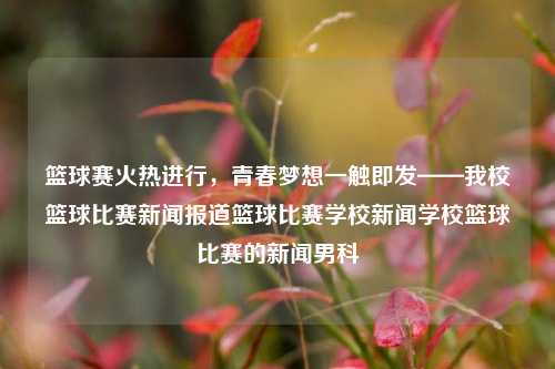 篮球赛火热进行，青春梦想一触即发——我校篮球比赛新闻报道篮球比赛学校新闻学校篮球比赛的新闻男科