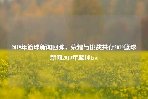 2019年篮球新闻回眸，荣耀与挑战共存2019篮球新闻2019年篮球fast