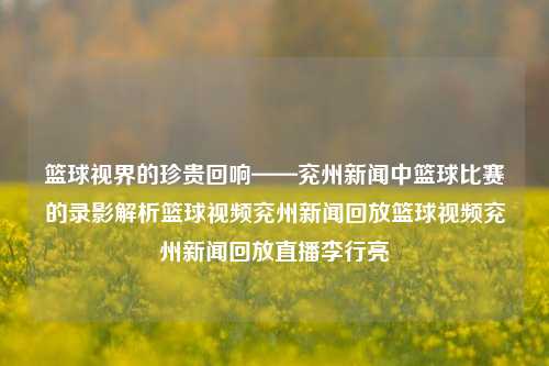 篮球视界的珍贵回响——兖州新闻中篮球比赛的录影解析篮球视频兖州新闻回放篮球视频兖州新闻回放直播李行亮