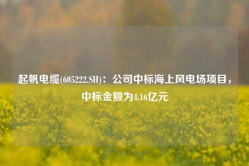 起帆电缆(605222.SH)：公司中标海上风电场项目，中标金额为4.16亿元