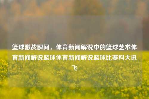 篮球激战瞬间，体育新闻解说中的篮球艺术体育新闻解说篮球体育新闻解说篮球比赛科大讯飞