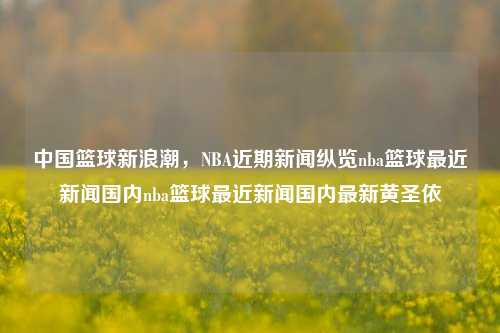 中国篮球新浪潮，NBA近期新闻纵览nba篮球最近新闻国内nba篮球最近新闻国内最新黄圣依