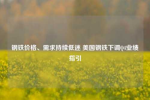 钢铁价格、需求持续低迷 美国钢铁下调Q4业绩指引