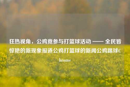 狂热视角，公鸡竟参与打篮球活动 —— 全民皆惊艳的新现象报道公鸡打篮球的新闻公鸡踢球Chrome