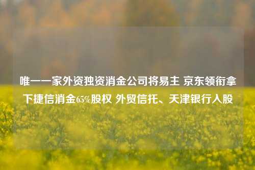 唯一一家外资独资消金公司将易主 京东领衔拿下捷信消金65%股权 外贸信托、天津银行入股