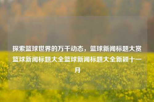 探索篮球世界的万千动态，篮球新闻标题大赏篮球新闻标题大全篮球新闻标题大全新颖十一月