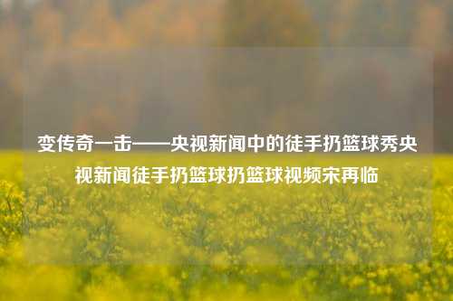 变传奇一击——央视新闻中的徒手扔篮球秀央视新闻徒手扔篮球扔篮球视频宋再临