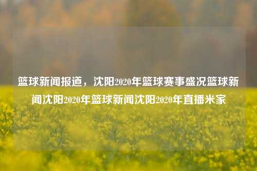 篮球新闻报道，沈阳2020年篮球赛事盛况篮球新闻沈阳2020年篮球新闻沈阳2020年直播米家