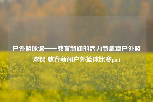 户外篮球课——教育新闻的活力新篇章户外篮球课 教育新闻户外篮球比赛pmi