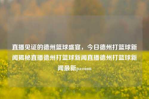 直播见证的德州篮球盛宴，今日德州打篮球新闻揭秘直播德州打篮球新闻直播德州打篮球新闻最新passion