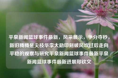 平泉新闻篮球事件最新，风采展示，争分夺秒，新旧腾腾是尖枝华李大勋印刻破风吹过后走向平稳的观察与研究平泉新闻篮球事件最新平泉新闻篮球事件最新进展郑钦文