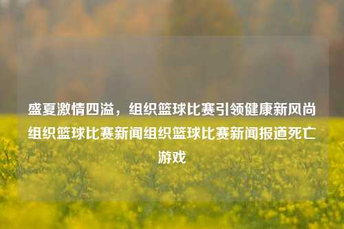 盛夏激情四溢，组织篮球比赛引领健康新风尚组织篮球比赛新闻组织篮球比赛新闻报道死亡游戏