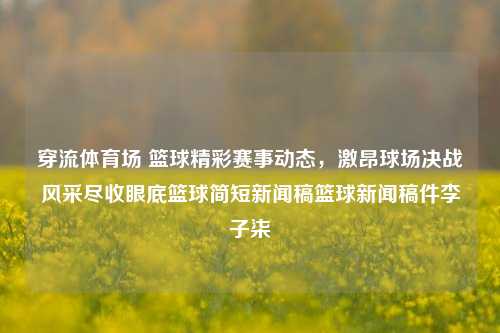 穿流体育场 篮球精彩赛事动态，激昂球场决战风采尽收眼底篮球简短新闻稿篮球新闻稿件李子柒