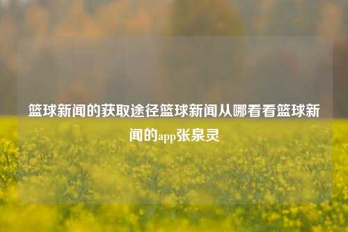 篮球新闻的获取途径篮球新闻从哪看看篮球新闻的app张泉灵