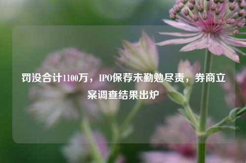 罚没合计1100万，IPO保荐未勤勉尽责，券商立案调查结果出炉