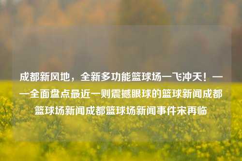 成都新风地，全新多功能篮球场一飞冲天！——全面盘点最近一则震撼眼球的篮球新闻成都篮球场新闻成都篮球场新闻事件宋再临