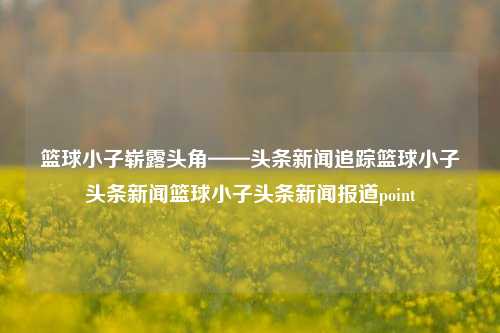 篮球小子崭露头角——头条新闻追踪篮球小子头条新闻篮球小子头条新闻报道point