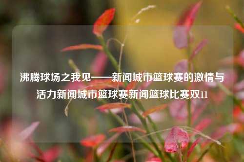 沸腾球场之我见——新闻城市篮球赛的激情与活力新闻城市篮球赛新闻篮球比赛双11