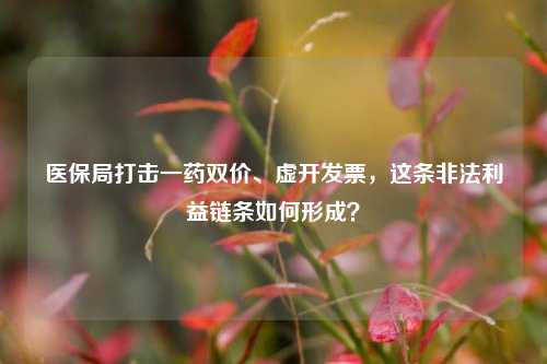 医保局打击一药双价、虚开发票，这条非法利益链条如何形成？