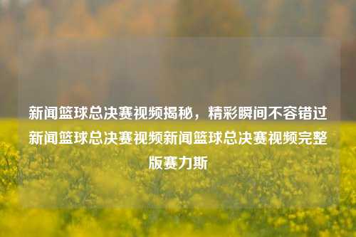 新闻篮球总决赛视频揭秘，精彩瞬间不容错过新闻篮球总决赛视频新闻篮球总决赛视频完整版赛力斯