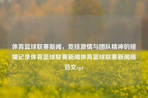 体育篮球联赛新闻，竞技激情与团队精神的碰撞记录体育篮球联赛新闻体育篮球联赛新闻稿范文apt