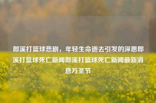 郎溪打篮球悲剧，年轻生命逝去引发的深思郎溪打篮球死亡新闻郎溪打篮球死亡新闻最新消息万圣节