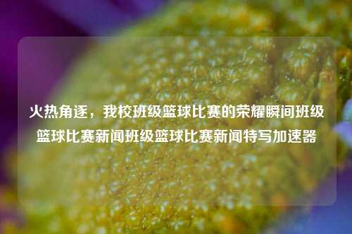 火热角逐，我校班级篮球比赛的荣耀瞬间班级篮球比赛新闻班级篮球比赛新闻特写加速器