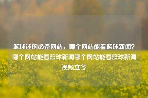 篮球迷的必备网站，哪个网站能看篮球新闻？哪个网站能看篮球新闻哪个网站能看篮球新闻视频立冬