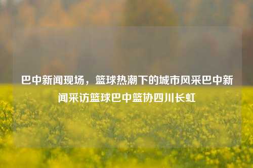 巴中新闻现场，篮球热潮下的城市风采巴中新闻采访篮球巴中篮协四川长虹