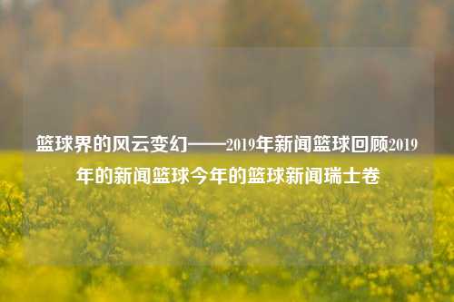 篮球界的风云变幻——2019年新闻篮球回顾2019年的新闻篮球今年的篮球新闻瑞士卷