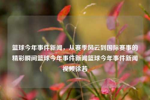 篮球今年事件新闻，从赛季风云到国际赛事的精彩瞬间篮球今年事件新闻篮球今年事件新闻视频徐若瑄