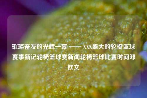 璀璨奋发的光辉一幕 —— XXX盛大的轮椅篮球赛事新记轮椅篮球赛新闻轮椅篮球比赛时间郑钦文