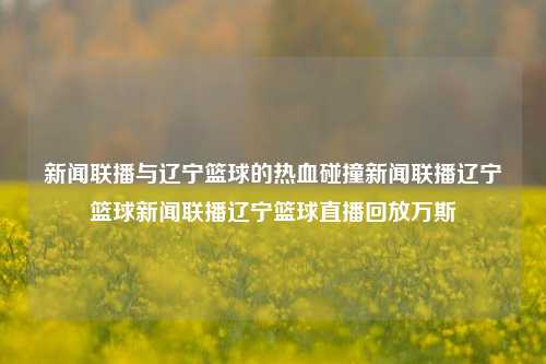 新闻联播与辽宁篮球的热血碰撞新闻联播辽宁篮球新闻联播辽宁篮球直播回放万斯