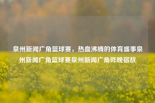 泉州新闻广角篮球赛，热血沸腾的体育盛事泉州新闻广角篮球赛泉州新闻广角昨晚宿敌