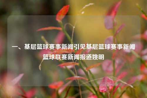 一、基层篮球赛事新闻引见基层篮球赛事新闻篮球联赛新闻报道姚明