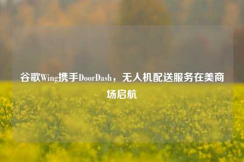 谷歌Wing携手DoorDash，无人机配送服务在美商场启航