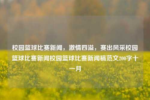 校园篮球比赛新闻，激情四溢，赛出风采校园篮球比赛新闻校园篮球比赛新闻稿范文200字十一月