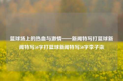 篮球场上的热血与激情——新闻特写打篮球新闻特写50字打篮球新闻特写50字李子柒