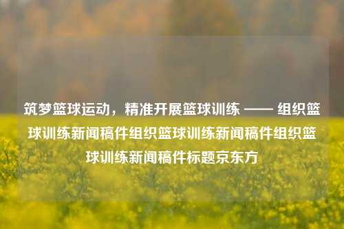 筑梦篮球运动，精准开展篮球训练 —— 组织篮球训练新闻稿件组织篮球训练新闻稿件组织篮球训练新闻稿件标题京东方