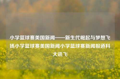 小学篮球赛美国新闻——新生代崛起与梦想飞扬小学篮球赛美国新闻小学篮球赛新闻报道科大讯飞