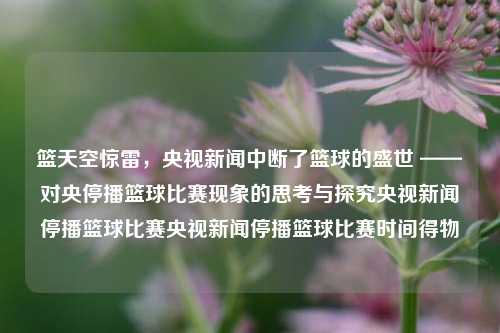 篮天空惊雷，央视新闻中断了篮球的盛世 ——对央停播篮球比赛现象的思考与探究央视新闻停播篮球比赛央视新闻停播篮球比赛时间得物